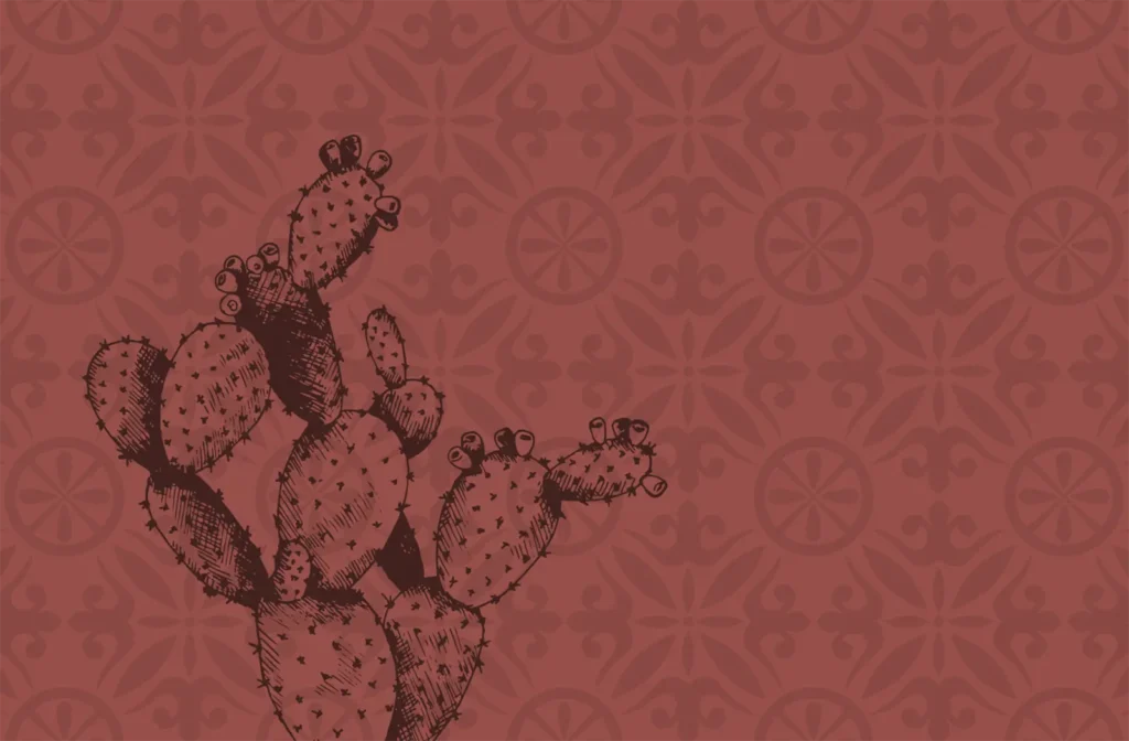 Cactus su sfondo rosso